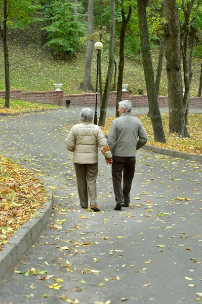 Pareja de ancianos juntos — Foto de Stock