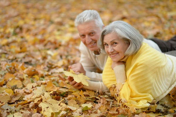 가을 공원 의연로 한 부부 — 스톡 사진