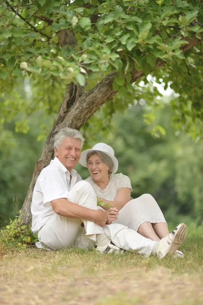 Starsza para w letni dzień — Zdjęcie stockowe