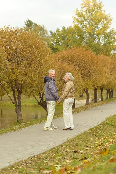 Старшая пара в осеннем парке — стоковое фото