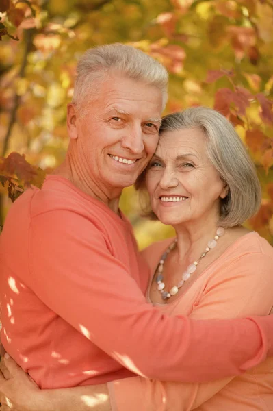 Pareja mayor en el parque de otoño —  Fotos de Stock