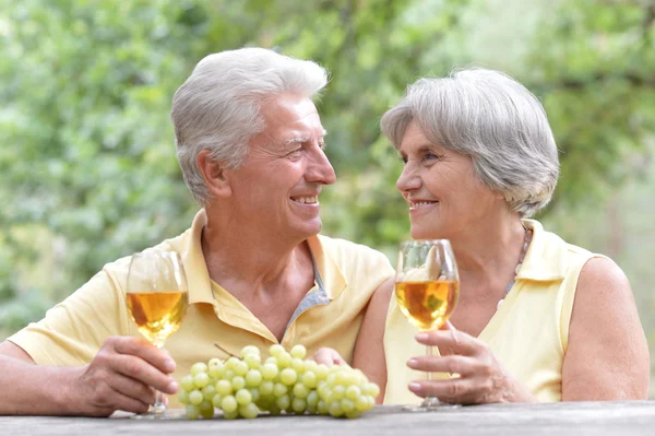 Elder couple drinking wine — Stock Photo, Image