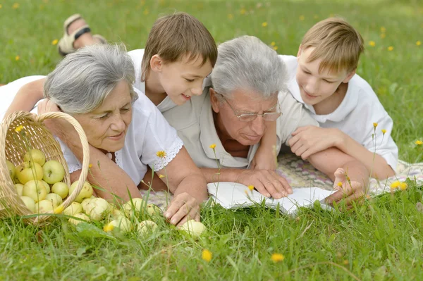 Usmívající se rodina na trávě — Stock fotografie