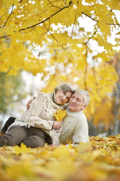 Seniorenpaar in herfstpark — Stockfoto