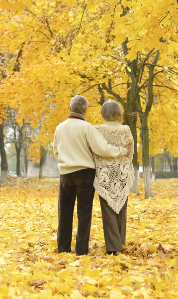 Pareja mayor en el parque de otoño — Foto de Stock