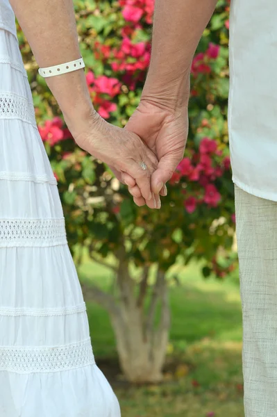 Casal de idosos de mãos dadas — Fotografia de Stock