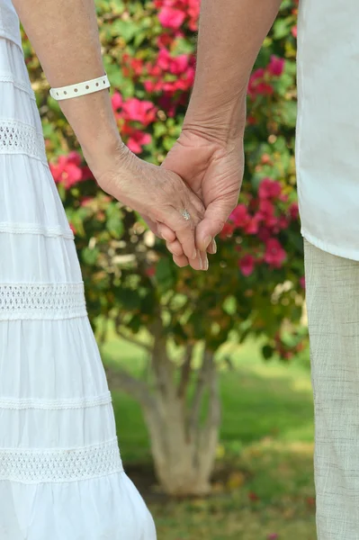 Elderly couple holding hands — Stock Photo, Image