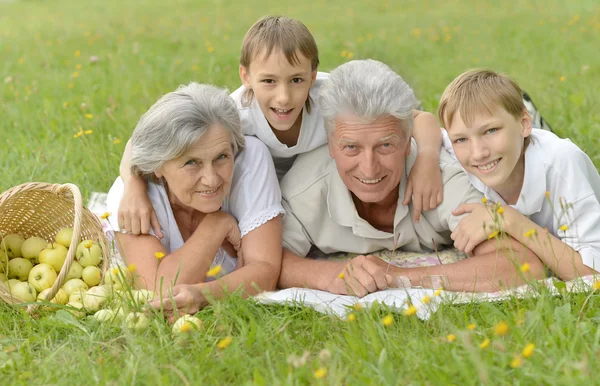 Smiling family on grass — Stock Photo, Image