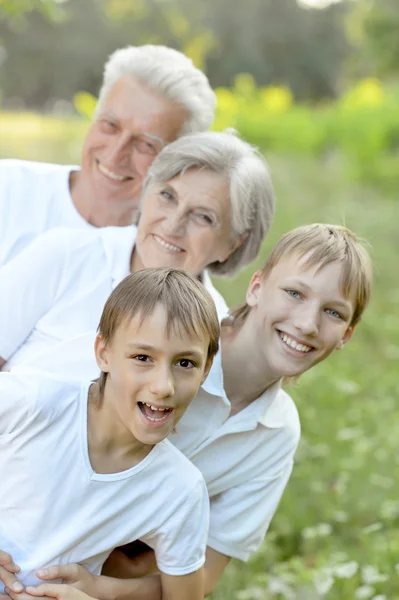 Boys with grandparents   in summer Stock Image