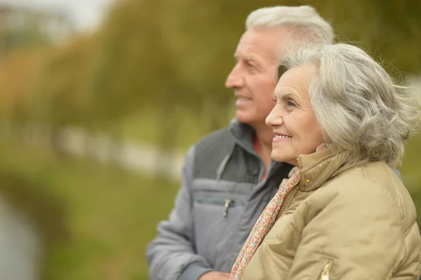 Elderly couple together — Stock Photo, Image