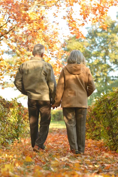 Casal sênior no parque de outono — Fotografia de Stock