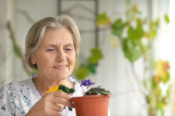 Žena zalévání rostlina doma — Stock fotografie