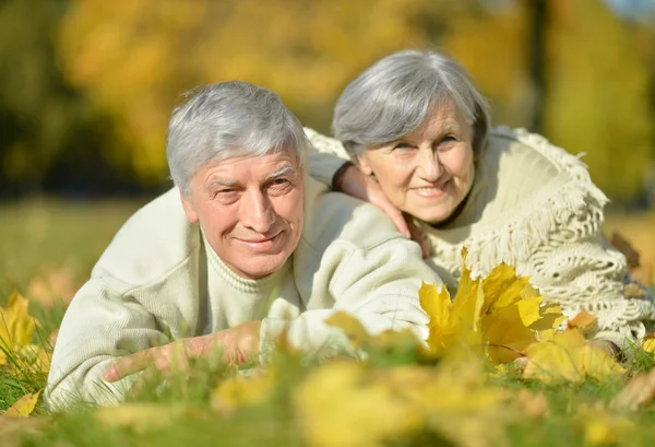 Pareja mayor en el parque de otoño —  Fotos de Stock