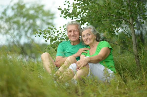 Senior couple in summer field — Stock Photo, Image