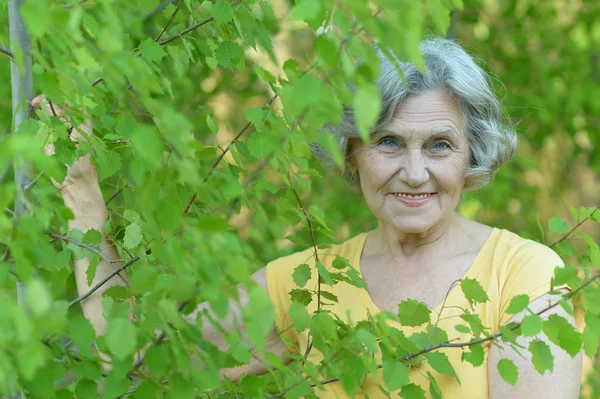 Mulher velha feliz agradável — Fotografia de Stock