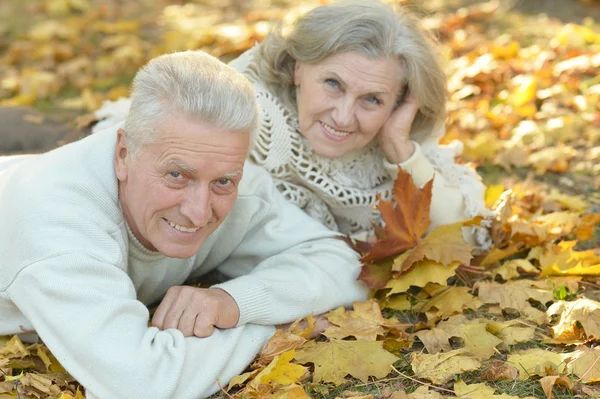 Seniorenpaar in herfstpark — Stockfoto