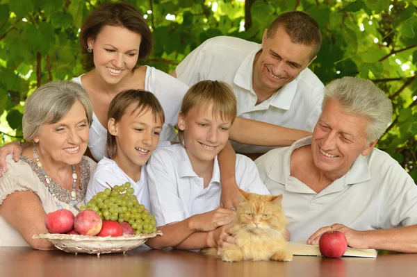 Aile yaz aylarında meyve yeme — Stok fotoğraf