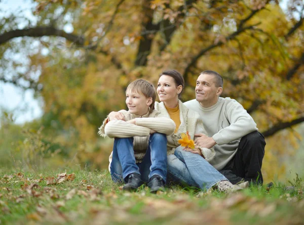 Family  relax in autumn park — Stock Photo, Image