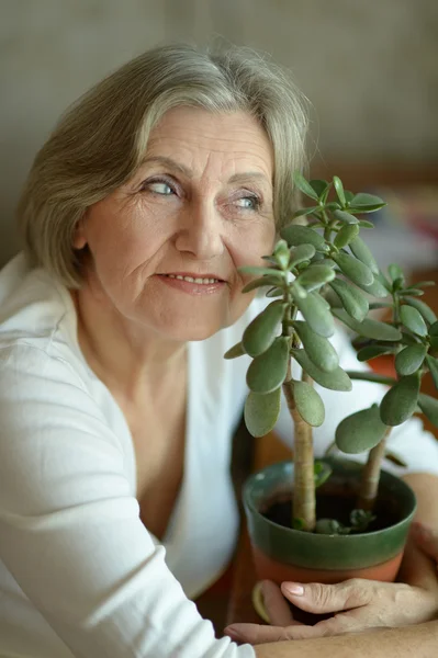 Senior woman with plant — Stock Photo, Image