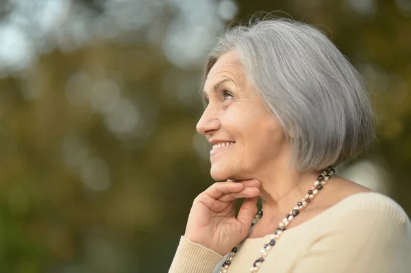 Senior couple  in  park — Stock Photo, Image