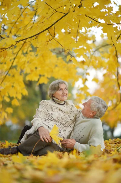 Starsza para w jesiennym parku — Zdjęcie stockowe