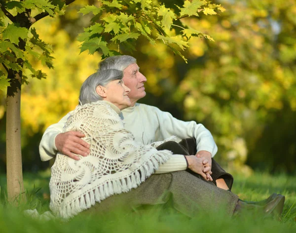 Seniorenpaar in herfstpark — Stockfoto