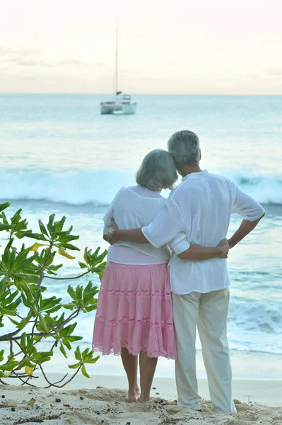 Äldre par stående på stranden — Stockfoto