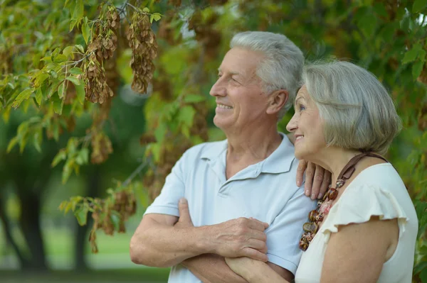 Mature couple in summer  park — Stock Photo, Image