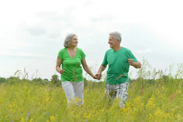 Seniorenpaar im Sommerfeld — Stockfoto