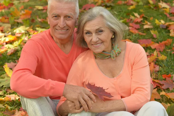 Elderly couple sitting  at autumn park — Stock Photo, Image