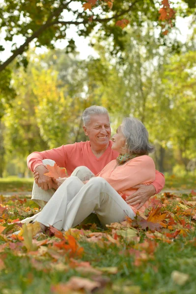 Elderly couple sitting  at autumn park — Stock Photo, Image