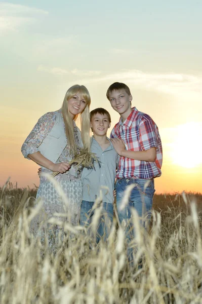 Familie auf dem Weizenfeld — Stockfoto