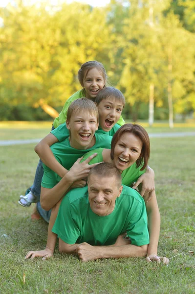 Aile yaz parkında dinleniyor. — Stok fotoğraf