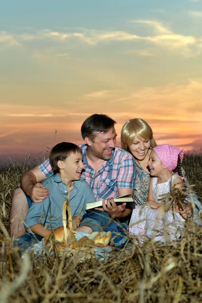 Familie liest Buch im Feld — Stockfoto
