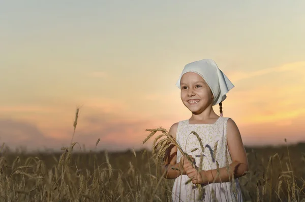 Mała dziewczynka inwheat pola — Zdjęcie stockowe