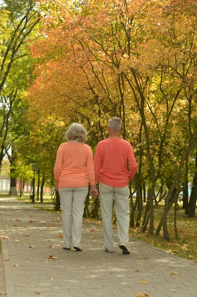 Casal sênior no parque de outono — Fotografia de Stock