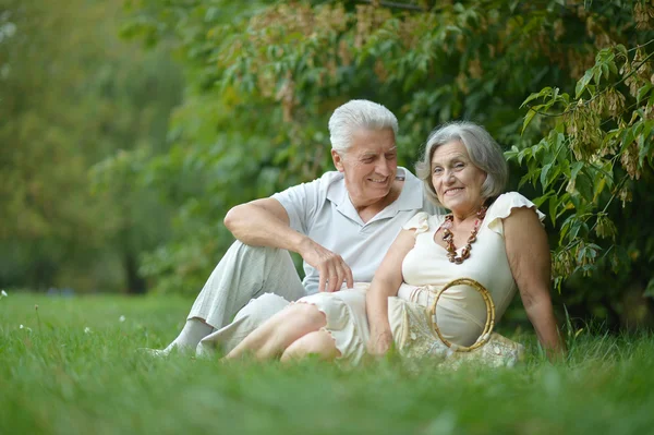 Reif pärchen sitzen im park — Stockfoto