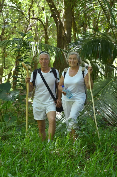 Pareja mayor caminando en bosque tropical —  Fotos de Stock