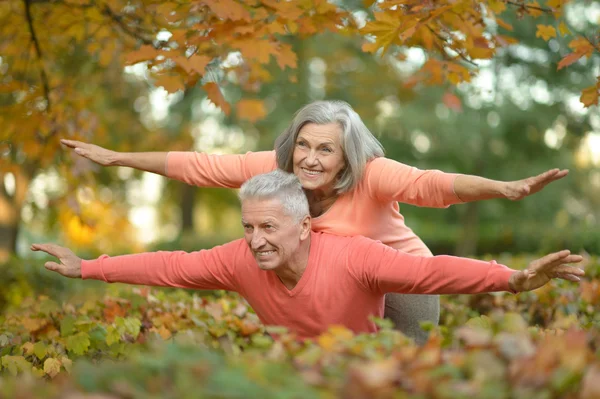 Senior couple relax in autumn park — Stock Photo, Image