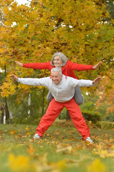 Ajuste pareja mayor ejercicio — Foto de Stock