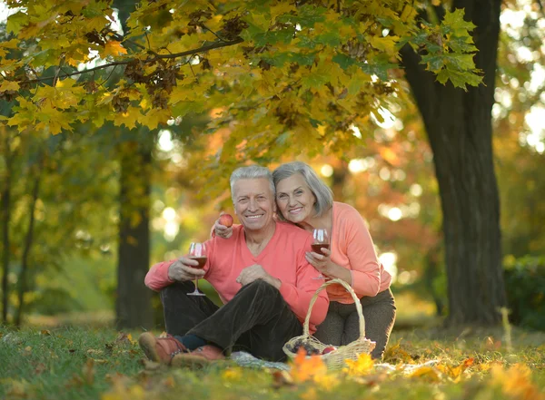 Szczęśliwa para dojrzałych pikniku — Zdjęcie stockowe