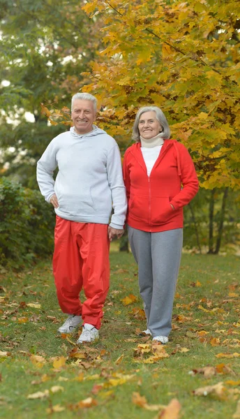 Fittes Senioren-Paar zu Fuß — Stockfoto