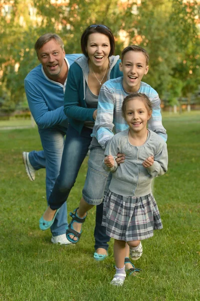 Famiglia che riposa nel parco estivo — Foto Stock