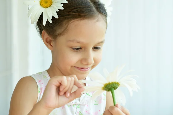 Meisje met dasies bloemen — Stockfoto