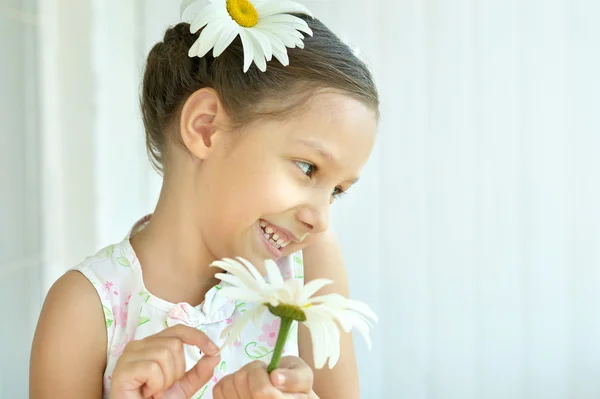 Dasies 꽃과 어린 소녀 — 스톡 사진