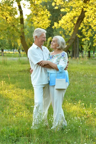 Älteres Paar im Sommer auf Wanderschaft — Stockfoto