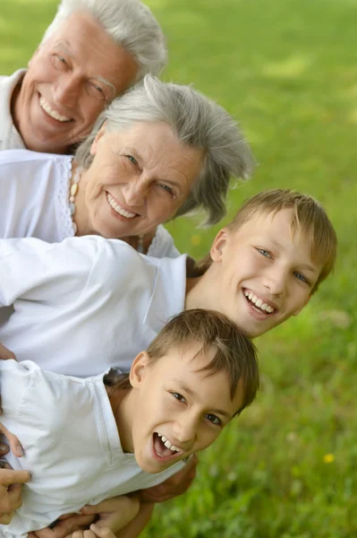 Boys with grandparents   in summer — Stock Photo, Image