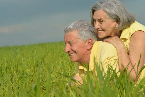 Senior couple  in summer field — Stock Photo, Image