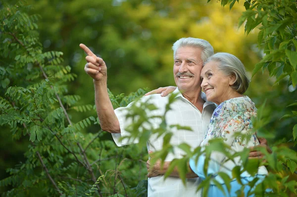 Seniorenpaar in park — Stockfoto