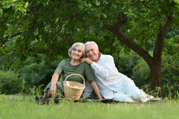 Divertente vecchia coppia su picnic — Foto Stock